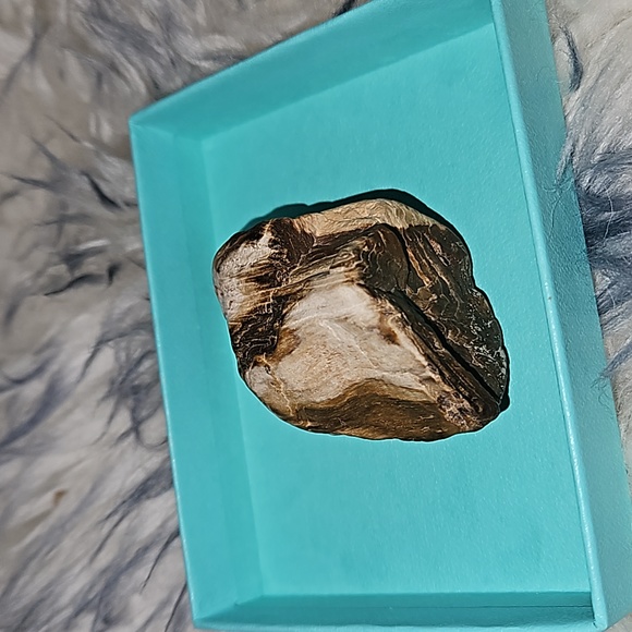 Petrified wood. Agatized. - Picture 2 of 3